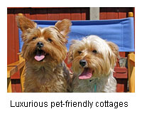 luxury pets welcome cottages West Country