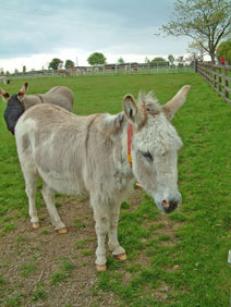 Gloucestershire, home to the beautiful Cotswolds countryside