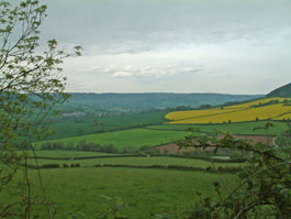 Gorgeous Devon countryside