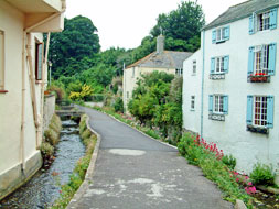 Pretty country lanes in the West Country